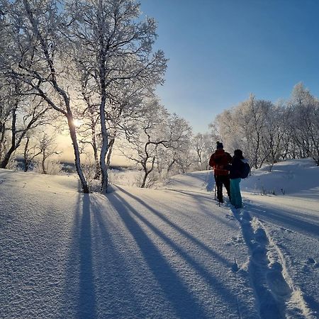 Ringstad Resort Bo (Nordland) Ngoại thất bức ảnh